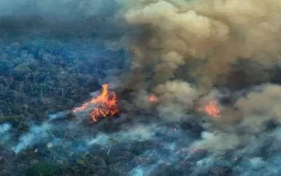 En Bolivia, más de 2MM de hectáreas fueron consumidas por el fuego; la ABT inicia 127 procesos