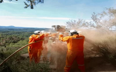 YPFB perforará el pozo Vitiacua-X1 en 2024 tras la sísmica 2D en el campo Sabalo