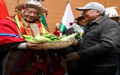 Luis Arce: ‘Todo está listo para el Censo del Bicentenario’