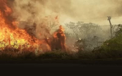 El fuego en Roboré sale de control y suspenden el tráfico por la carretera Bioceánica