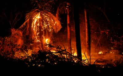 Bolivia con 10.424 focos de calor marca un récord histórico, Beni y Santa Cruz lo más afectados