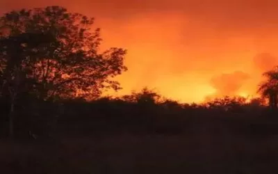 Arde Roboré, unas 14.000 hectáreas han sido consumidas por el fuego, hay ‘desastre’