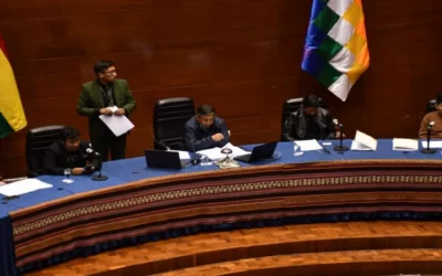 Bolivia tendrá elecciones judiciales, la Asamblea aprobó por 2/3 las listas y los informes de las comisiones mixtas