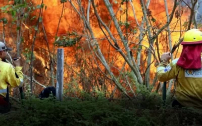 La Chiquitanía clama por declarar ‘desastre nacional’, el Gobierno lo descarta, los bomberos se ven impotentes ante las llamas