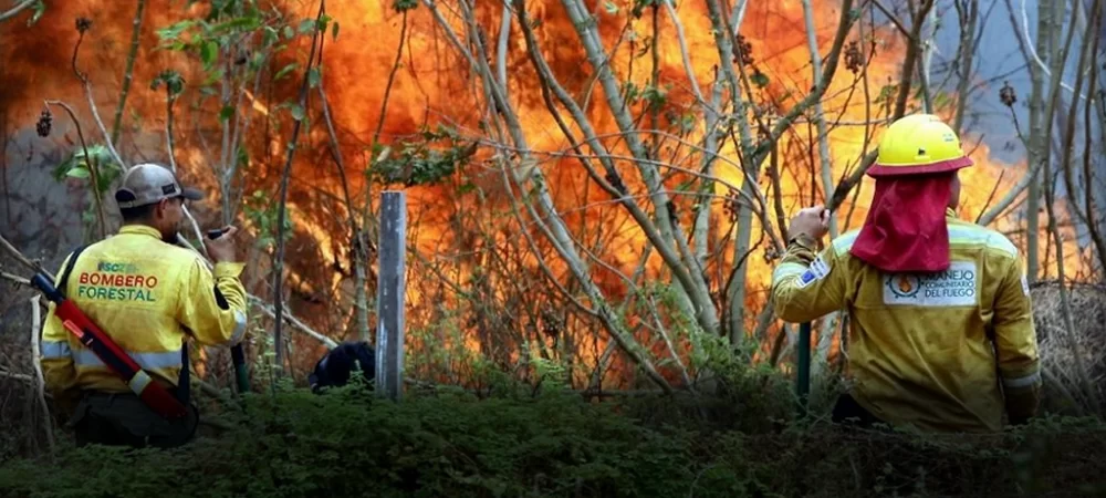 La Chiquitanía clama por declarar ‘desastre nacional’, el Gobierno lo descarta, los bomberos se ven impotentes ante las llamas