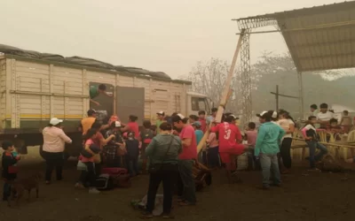 Santa Cruz en la peor afectación histórica, calculan más de 5 millones de hectáreas que arden, inició la evacuación de Monte Verde