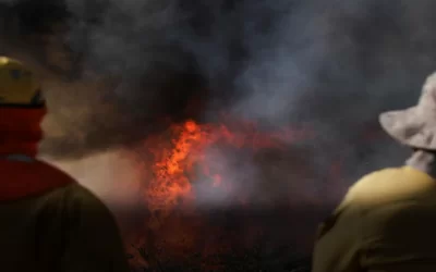 Bolivia en ‘desastre nacional’ a causa de los incendios, Arce firmó el decreto