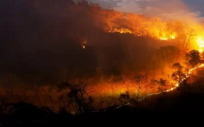 Emergencia nacional por los incendios en Bolivia, la ayuda internacional comienza a llegar