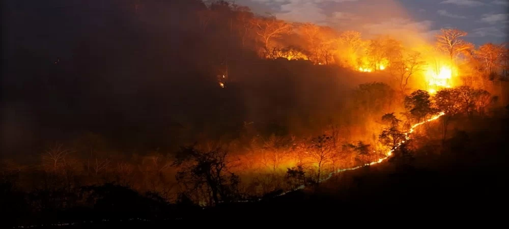 Emergencia nacional por los incendios en Bolivia, la ayuda internacional comienza a llegar