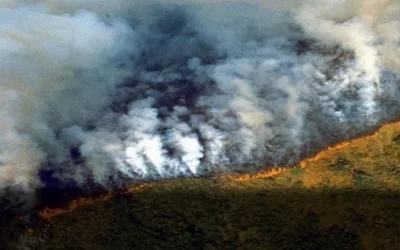 Arce agradece el gesto de Lula da Silva y a los brigadistas antincendios del Brasil, compromete que ninguna quema quedará