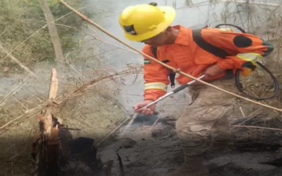 Hasta este lunes, Bolivia registra 3,8 millones de hectáreas afectadas, 78 incendios activos en 27 municipios en Santa Cruz, Beni y Pando