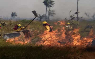 Pausa ambiental ecológica en el territorio nacional y se plantea endurecer las penas de seis a 13 años para los que quemen