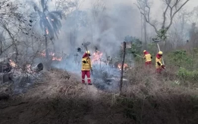 Los bomberos voluntarios que estén luchando contra incendios no perderán su trabajo ya sea en instancias públicas o privadas