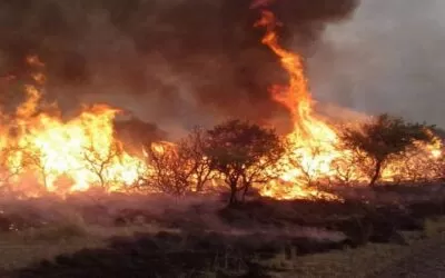 Beni en desastre por los incendios forestales