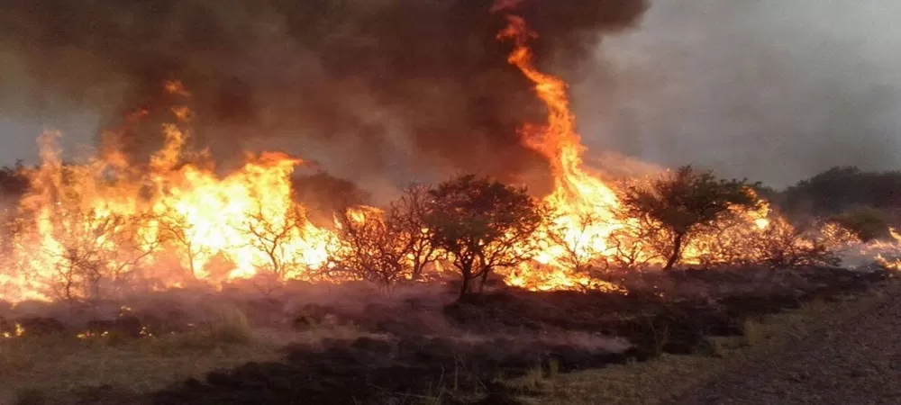 Beni en desastre por los incendios forestales