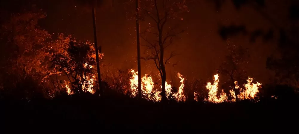 Discrepan sobre las hectáreas afectadas por los incendios: Para el Gobierno son 6,9 millones, mientras para la Fundación Tierra, más de 10 millones