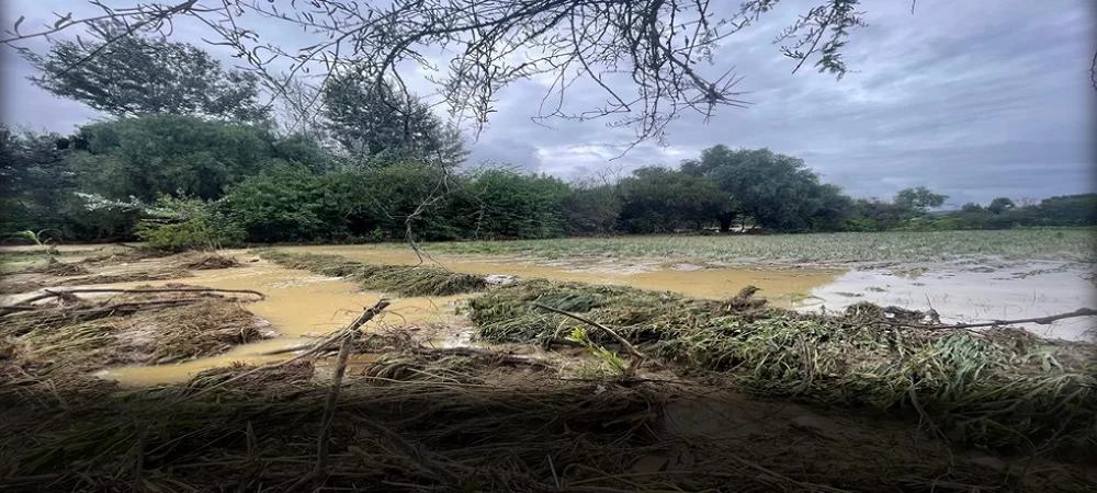 El río Camacho se desborda en Tarija y pone en emergencia al municipio de Uriondo, claman por ayuda