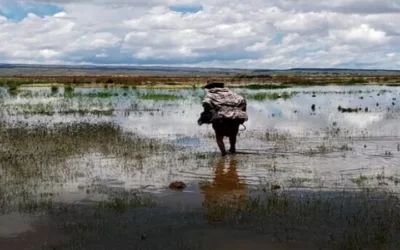 La comunidad Coachijo en Pucarani pide ayuda tras el desborde del río Katari, sus habitantes están en medio del agua