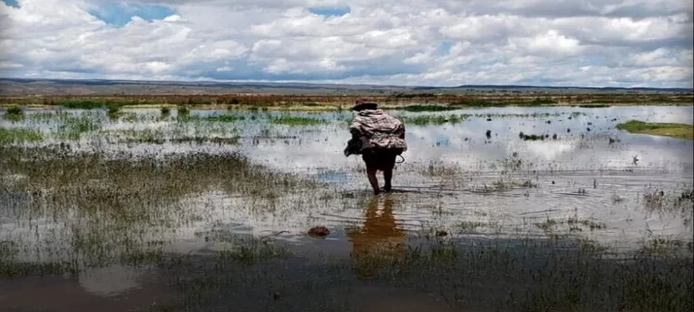 La comunidad Coachijo en Pucarani pide ayuda tras el desborde del río Katari, sus habitantes están en medio del agua