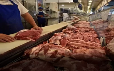 Ganaderos rompen diálogo y cualquier acercamiento con el Gobierno por la suspensión de la exportación de carne de res