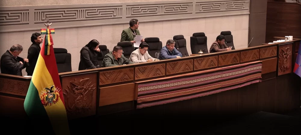 La Asamblea posterga tratamiento del crédito del JICA por $us 100MM y Diputados aprueba la Ley del TREP