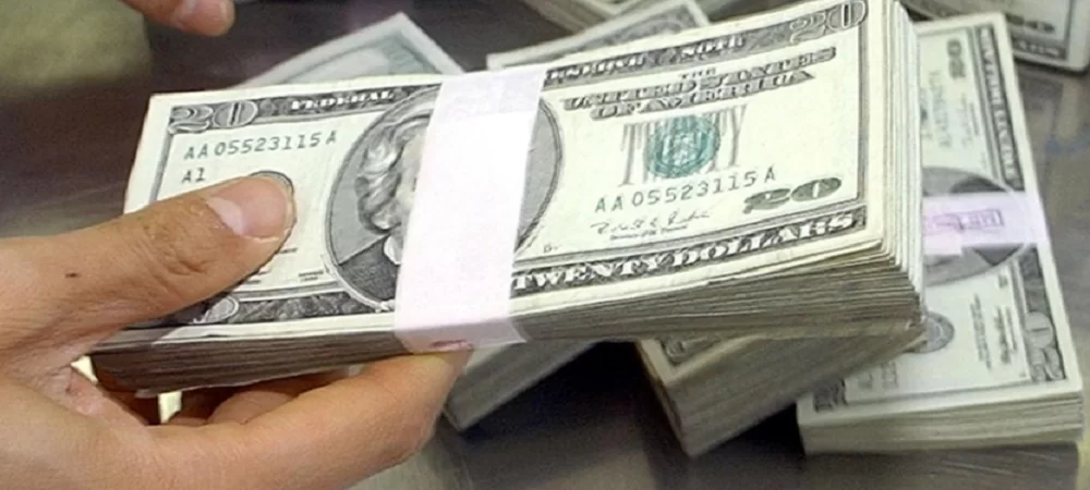 El Gobierno ordenó al BCB el desembolso de $us 421.133 para el voto en el exterior