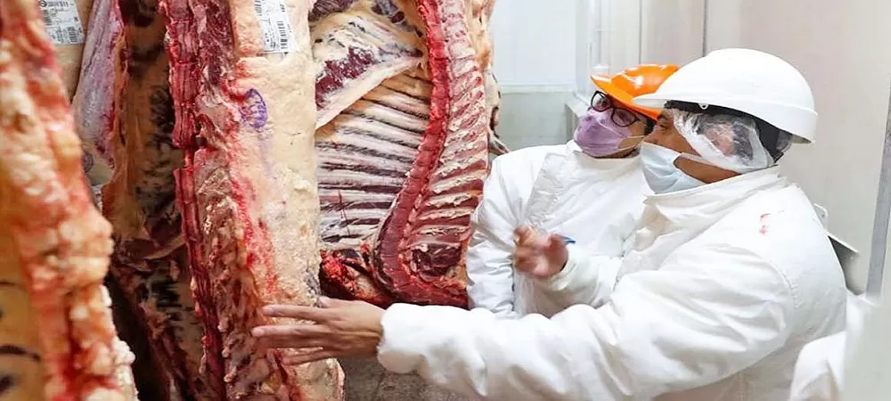 El Gobierno pretende importar carne de res de Argentina y venderla subvencionada, los ganaderos en emergencia