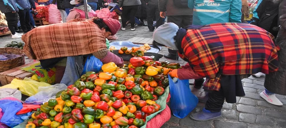 Escalada de precios, la inflación acumulada trepa a 9,81% y la del mes de a mayo a 3,65%